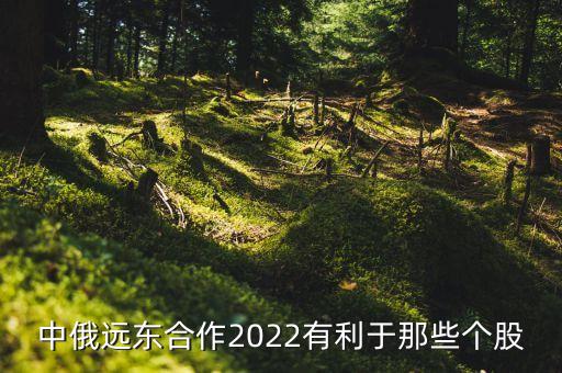 中俄遠東合作2022有利于那些個股