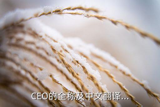 CEO的全稱(chēng)及中文翻譯…