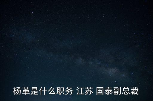 楊革是什么職務(wù) 江蘇 國(guó)泰副總裁