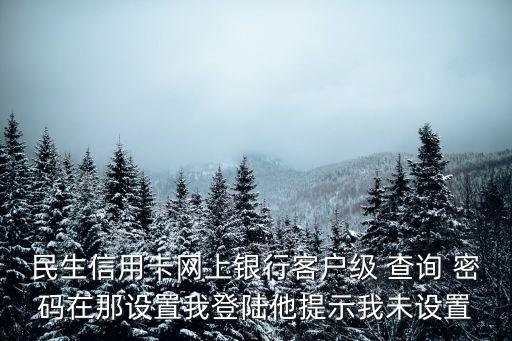 民生信用卡網上銀行客戶級 查詢 密碼在那設置我登陸他提示我未設置