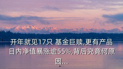 開年就見17只 基金巨贖,更有產(chǎn)品日內(nèi)凈值暴漲逾55%,背后究竟何原因...