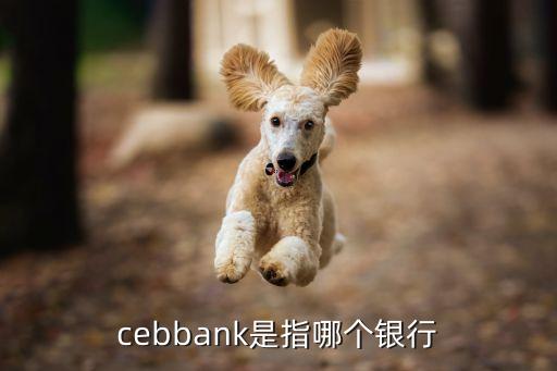 cebbank是指哪個(gè)銀行