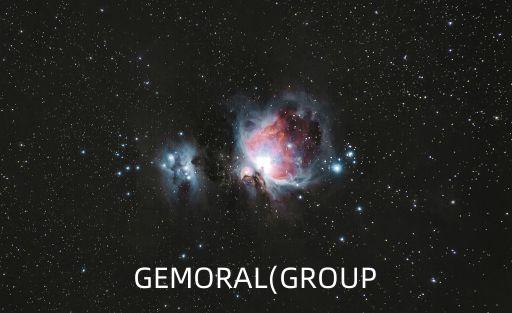 GEMORAL(GROUP