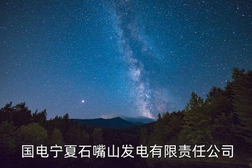  國電寧夏石嘴山發(fā)電有限責(zé)任公司