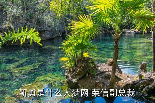 靳勇是什么人夢網(wǎng) 榮信副總裁