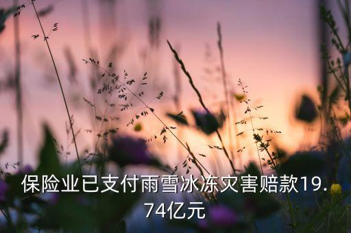 保險(xiǎn)業(yè)已支付雨雪冰凍災(zāi)害賠款19.74億元