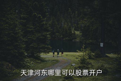  天津河?xùn)|哪里可以股票開戶