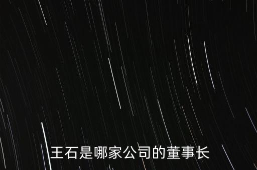  王石是哪家公司的董事長