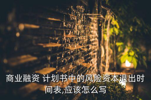 商業(yè)融資 計(jì)劃書中的風(fēng)險(xiǎn)資本退出時(shí)間表,應(yīng)該怎么寫