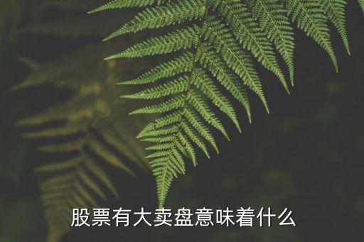 股票大筆賣(mài)出,股票買(mǎi)入多久可以賣(mài)出去