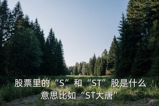 股票前面的s什么意思