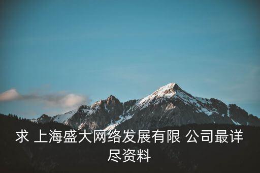 求 上海盛大網(wǎng)絡發(fā)展有限 公司最詳盡資料