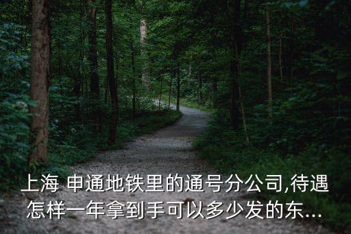 上海 申通地鐵里的通號分公司,待遇怎樣一年拿到手可以多少發(fā)的東...