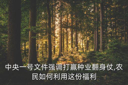 中國洋種子份額