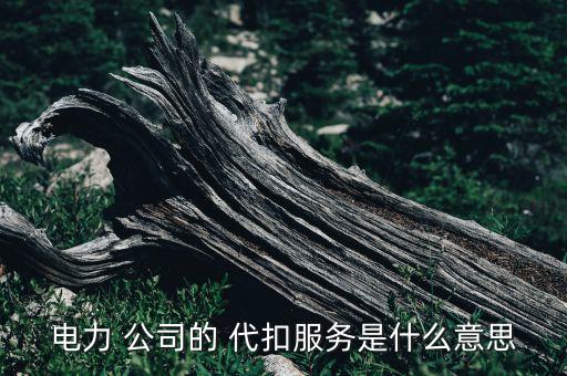 電力 公司的 代扣服務是什么意思