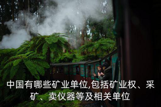 中國有哪些礦業(yè)單位,包括礦業(yè)權(quán)、采礦、賣儀器等及相關(guān)單位