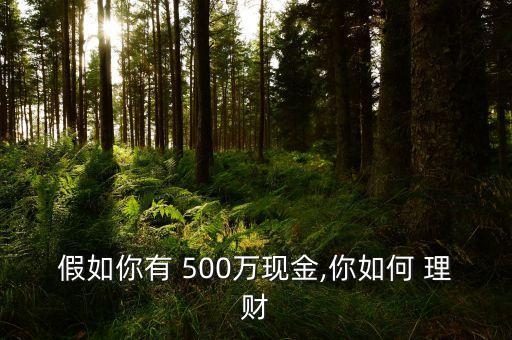 500萬元錢怎么投資理財,投資理財心得體會500字