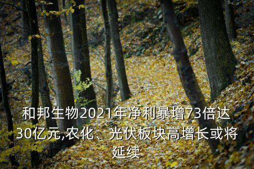 和邦生物2021年凈利暴增73倍達30億元,農化、光伏板塊高增長或將延續(xù)