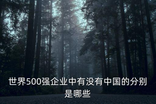 世界500強企業(yè)中有沒有中國的分別是哪些