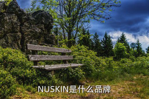 NUSKIN是什么品牌