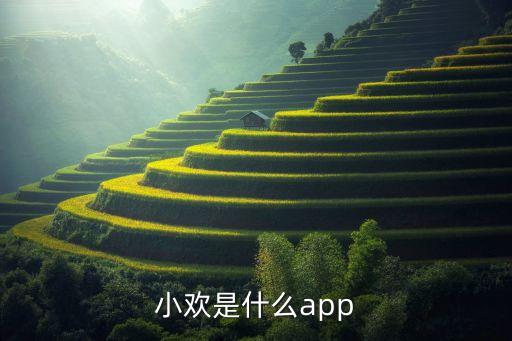 小歡是什么app