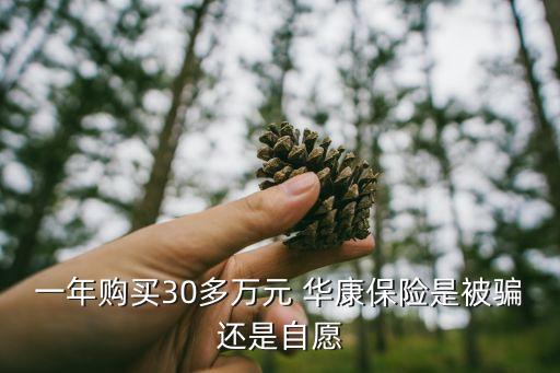 一年購(gòu)買30多萬(wàn)元 華康保險(xiǎn)是被騙還是自愿