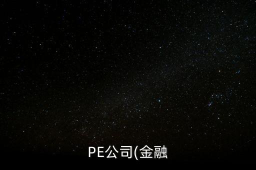 PE公司(金融