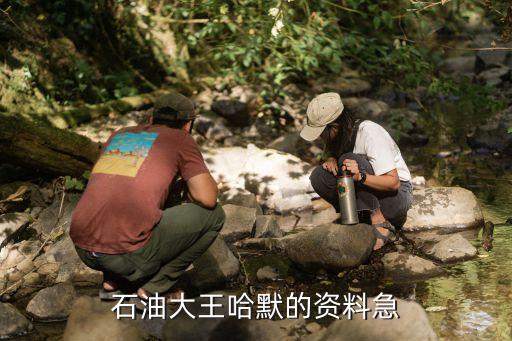 中國(guó)原油大亨,中國(guó)沒有原油嗎