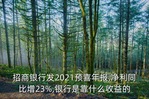 招商銀行發(fā)2021預(yù)喜年報(bào),凈利同比增23%,銀行是靠什么收益的