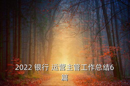 2022 銀行 運營主管工作總結(jié)6篇