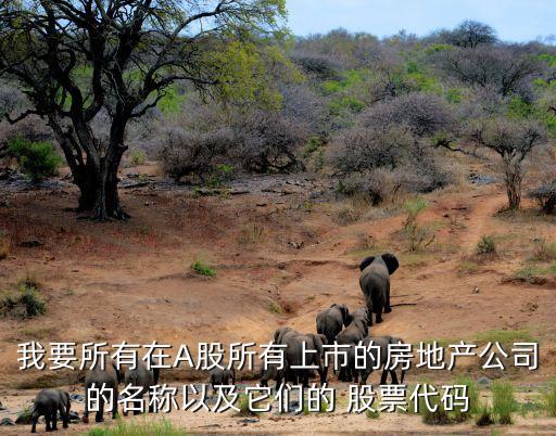 我要所有在A股所有上市的房地產(chǎn)公司的名稱以及它們的 股票代碼