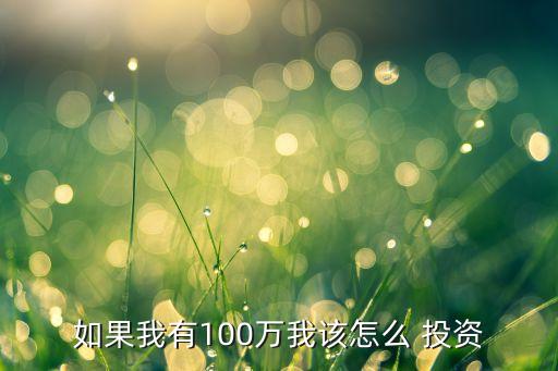 如果我有100萬我該怎么 投資