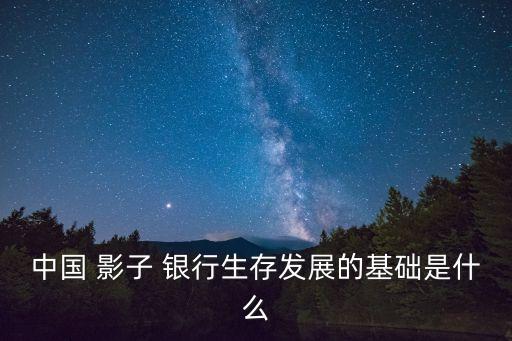 中國 影子 銀行生存發(fā)展的基礎(chǔ)是什么