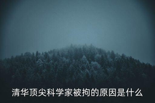 清華頂尖科學家被拘的原因是什么