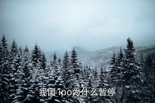 我國(guó) ipo為什么暫停