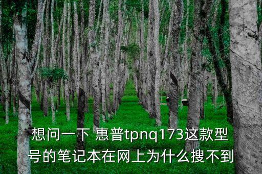 想問一下 惠普tpnq173這款型號(hào)的筆記本在網(wǎng)上為什么搜不到