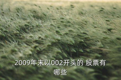 2009年末以002開頭的 股票有哪些