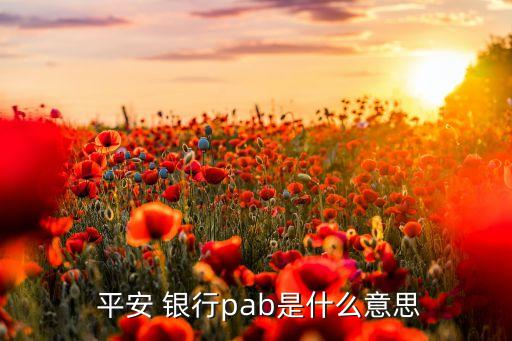  平安 銀行pab是什么意思