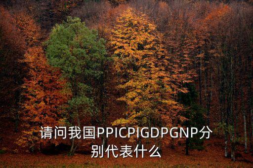 請(qǐng)問我國PPICPIGDPGNP分別代表什么