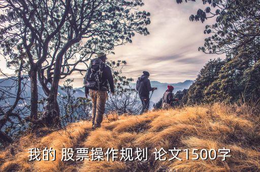 我的 股票操作規(guī)劃 論文1500字