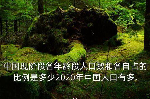 中國(guó)現(xiàn)階段各年齡段人口數(shù)和各自占的比例是多少2020年中國(guó)人口有多...