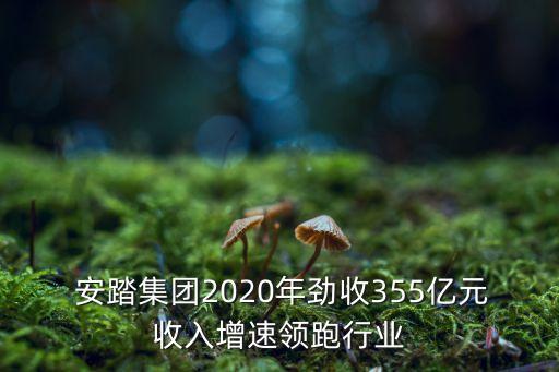  安踏集團2020年勁收355億元收入增速領(lǐng)跑行業(yè)