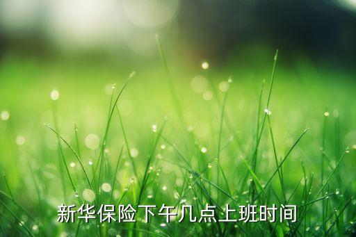 新華保險(xiǎn)下午幾點(diǎn)上班時(shí)間