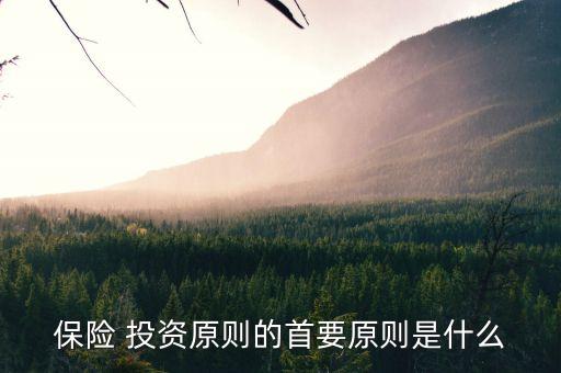 保險(xiǎn)資金投資保障房提議