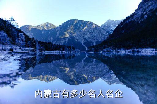 西藏五鑫礦業(yè)有限公司,河南五鑫礦業(yè)開發(fā)有限公司 王輝