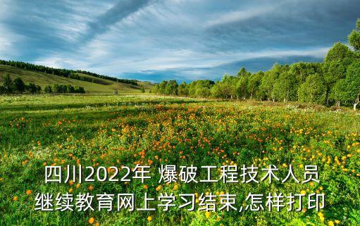  四川2022年 爆破工程技術(shù)人員繼續(xù)教育網(wǎng)上學(xué)習(xí)結(jié)束,怎樣打印