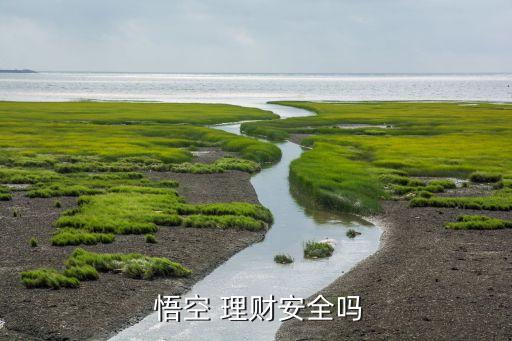  悟空 理財(cái)安全嗎