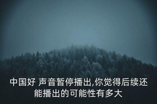 中國好 聲音暫停播出,你覺得后續(xù)還能播出的可能性有多大