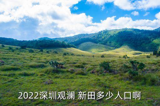 2022深圳觀(guān)瀾 新田多少人口啊