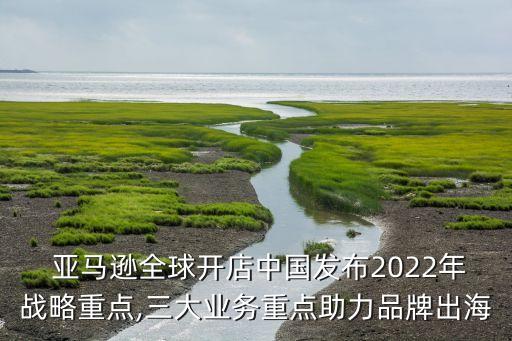  亞馬遜全球開店中國發(fā)布2022年戰(zhàn)略重點,三大業(yè)務(wù)重點助力品牌出海